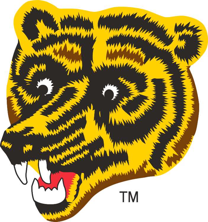 Boston Bruins 1976-1995 Alternate Logo t shirts DIY iron ons
